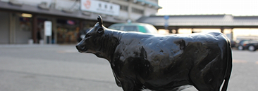 松阪牛（まつさかうし）